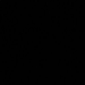 Meet your Posher, Maya